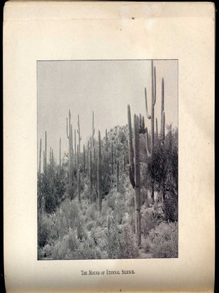 Montezuma's Castle and Other Weird Tales