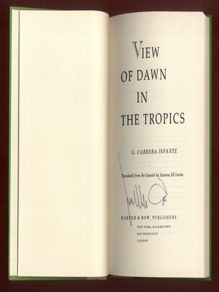 View of Dawn in the Tropics