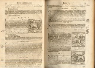 Hieroglyphica, Seu de Sacris Aegyptiorum, Aliarumque Gentium Literis Commentarii
