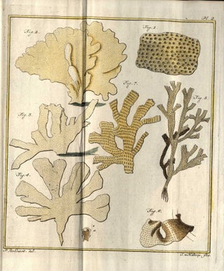 Natuurlyke historie der plant-dieren, bevattende de algemeene schetzen der geslachten en korte beschryvingen der bekende zoorten