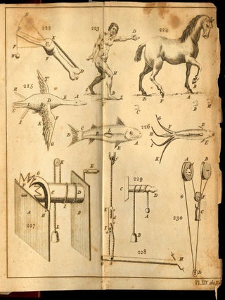 The Principles of Mechanics; Explaining and Demonstrating the General Laws of Motion, The Laws of Gravity, Motion of Descending Bodies...