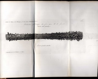 Annales de Chimie et de Physique, Quatrième Série, Tome XIX-XXVIII. 1870-1873