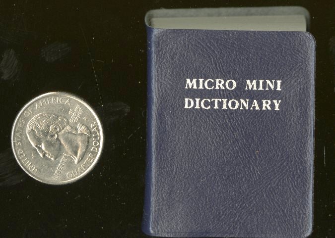 Item #043304 Micro Mini Dictionary. anon.