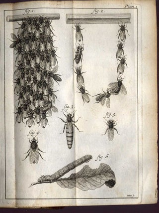 Histoire Naturelle des Abeilles; Avec Des Figures en Taille-Douce