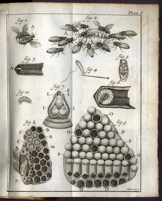 Histoire Naturelle des Abeilles; Avec Des Figures en Taille-Douce