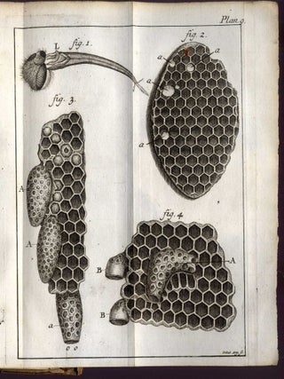 Histoire Naturelle des Abeilles; Avec Des Figures en Taille-Douce