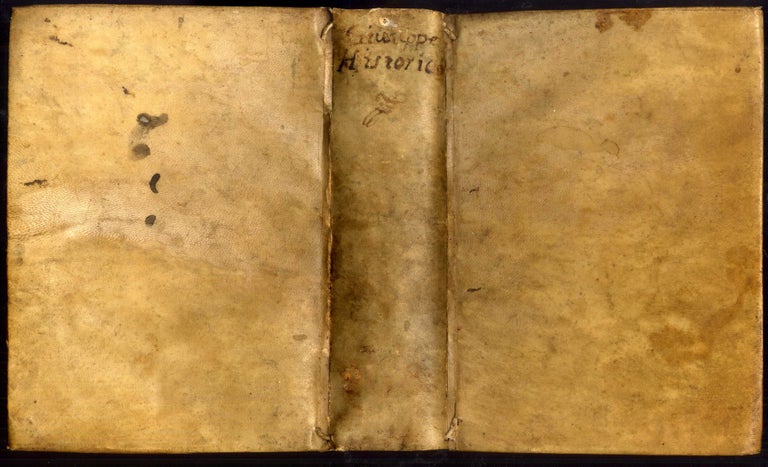 Item #044067 Gioseffo Flavio Historico Delle Antichita, e Guerre Giudaiche; Diviso in Ventisette Libri. Josephus Flavius.