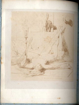 Le Parnassiculet Contemporain. Receuil de vers nouveaux, précédé de l'Hotel du Dragon Bleu et orné d'une très-étrange eau-forte