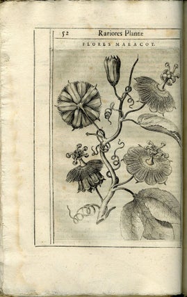 Exactissima Descriptio Rariorum Quarundam Plantarum, Qu[a]e continentur Rom[a]e in Horto Farnesiano