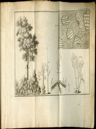 Des Semis et Plantations des Arbres, et de Leur Culture