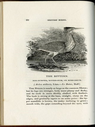 A History of British Birds