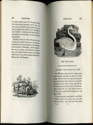 A History of British Birds