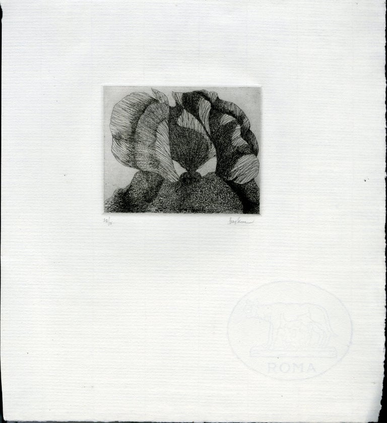 Item #046249 Signed and Numbered Etching on Thick Laid Roma Paper. Baskin Leonard.