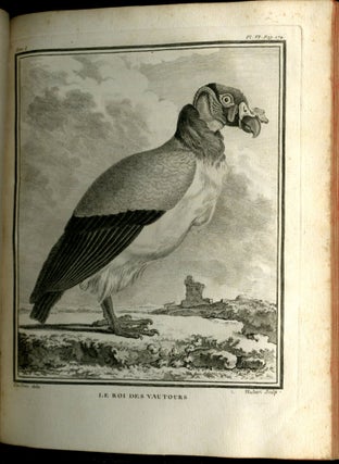Histoire Naturelle des Oiseaux Tomes I-IX, complete