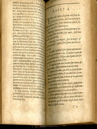 Apocalypsis Apocalypseos