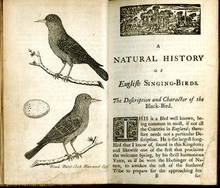 A natural History of English Song-Birds