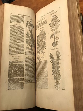 Cruydt-boeck, volghens sijne laetste verbeteringhe; Met Bijvoeghsels achter elck Capitel, uyt verscheyden Cruydt-beschrijvers