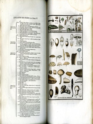 Élémentaire de Botanique