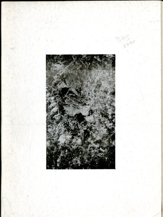 Item #047231 Eyes Open. Lachance Bertrand