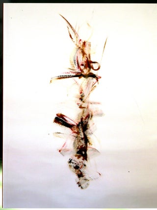 Item #047409 Scorned Beauty Comes Up from Behind: Preverbs. Quasha George
