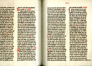 Die Lieder Reinmars und Walthers von der Vogelweide aus der Würzburger Handschrift