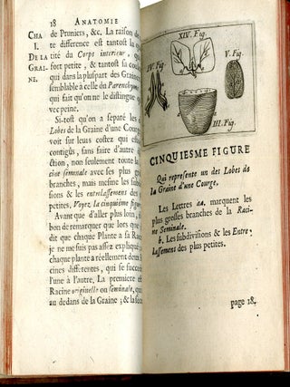 Anatomie des plantes qui contient une description exacte de leurs parties & de leurs usages,.