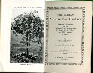 The Indian Amateur Rose Gardener