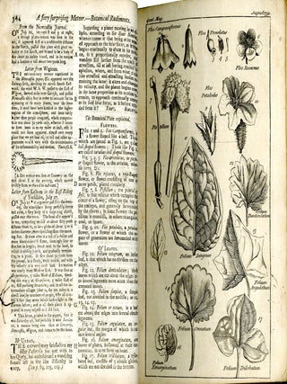 The Gentleman's Magazine August 1750