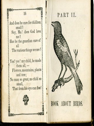 Child's Picture Book