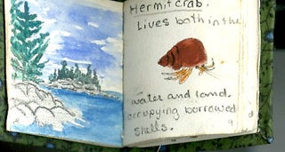 Miniature book of marine watercolors