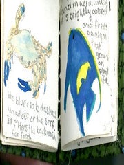 Miniature book of marine watercolors