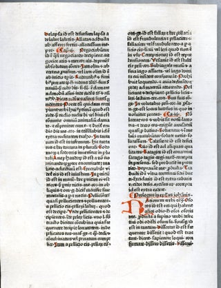 Summa de virtutibus et vitiis (single incunable leaf)