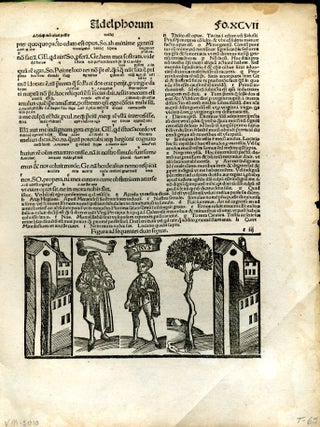Item #048276 Terentius comico carmine. (single leaf). Publius Terentius Afer, Terence