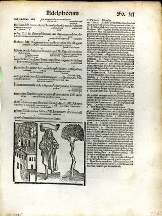 Item #048278 Terentius comico carmine. (single leaf). Publius Terentius Afer, Terence