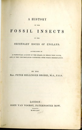 A History of the Fossil Insects in the Secondary Rocks of England