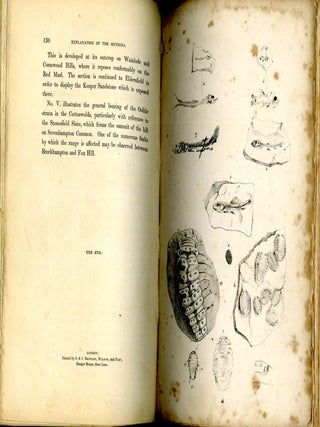 A History of the Fossil Insects in the Secondary Rocks of England