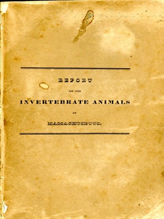 Item #048306 Report on the invertebrata of Massachusetts, comprising the Mollusca, Crustacea,...