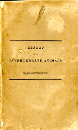 Item #048306 Report on the invertebrata of Massachusetts, comprising the Mollusca, Crustacea,...