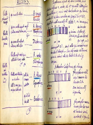 Cryptogames, Phanérogames: Cours de M. de Bonnier, 1894-95 (Manuscript coursebook in French)