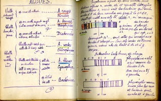 Cryptogames, Phanérogames: Cours de M. de Bonnier, 1894-95 (Manuscript coursebook in French)