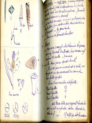 Cryptogames, Phanérogames: Cours de M. de Bonnier, 1894-95 (Manuscript coursebook in French)