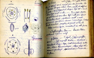 Cryptogames, Phanérogames: Cours de M. de Bonnier, 1894-95 (Manuscript coursebook in French)