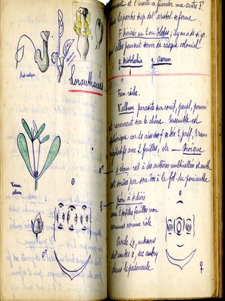 Cryptogames, Phanérogames: Cours de M. de Bonnier, 1894-95 (Manuscript coursebook in French)