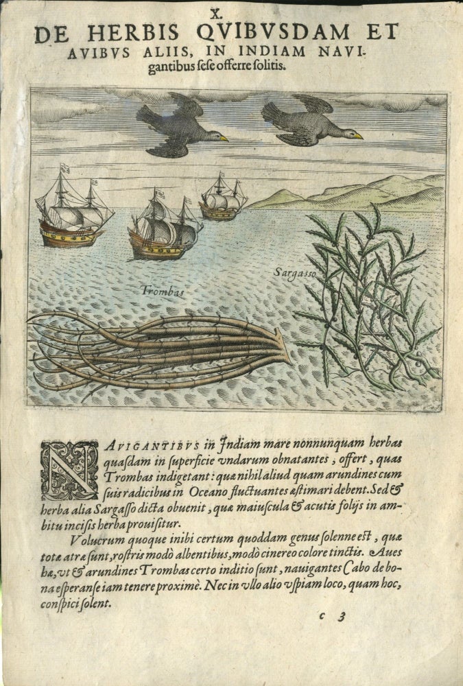 Item #048511 Indiae Orientalis [petits voyages]: Plate X De Herbis Quibusdam et Avibus Aliis in Indiam Navi. Theodor de Bry.