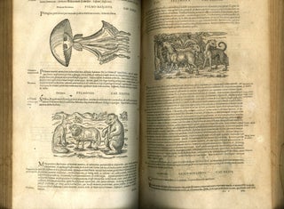 Opera Quae Extant Omni: Hoc est, Commentarii in VI. Libros Pedacii Disocoridis Anazarbei de Medica Materia