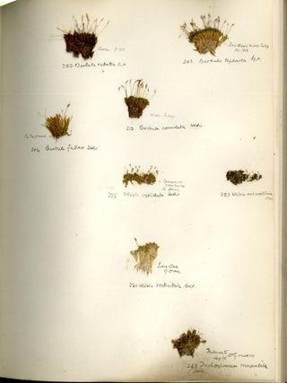 Specimen Album of British Mosses