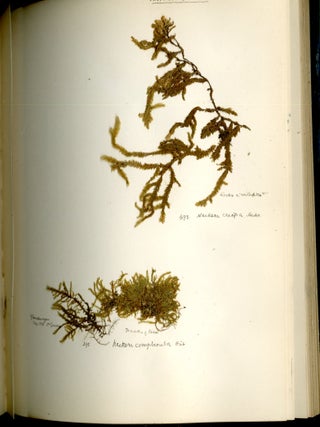 Specimen Album of British Mosses