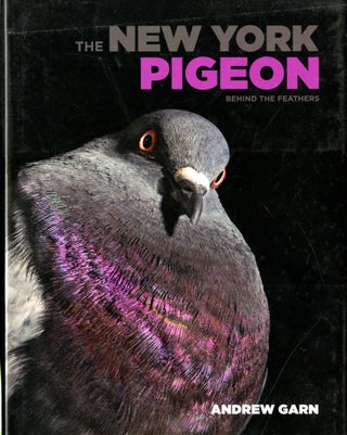 Item #048542 The New York Pigeon: Behind the Feathers. Andrew Garn