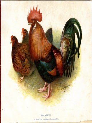 The Poultry Book in Three Volumes