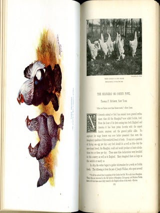 The Poultry Book in Three Volumes